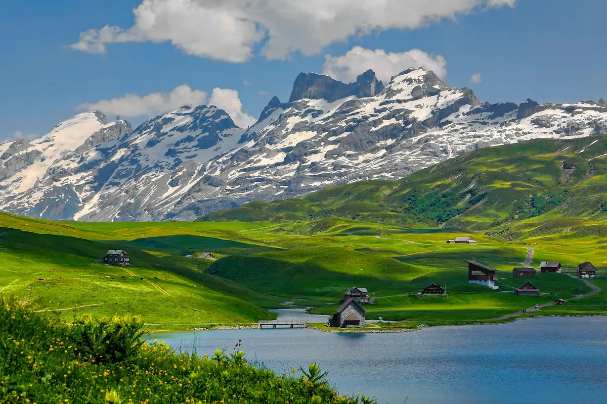 Prados verdes e picos nevados nos Alpes suíços